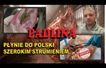 PADLINA SZEROKIM STRUMIENIEM PŁYNIE DO POLSKICH SKLEPÓW