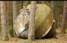„Niezidentyfikowany obiekt leśny” znaleziony na polskiej pustyni