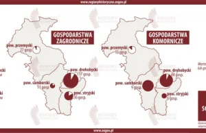 Najazdy tatarskie na ziemię przemyską w XVII wieku [MAPY] | Regiony...