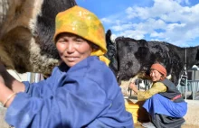 Tybetańczycy podzielają los Ujgurów? Niepokojące wieści z Chin.