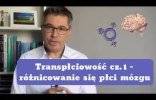 Transpłciowość - różnicowanie się płci mózgu. Dr med. Maciej Klimarczyk