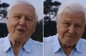 "Świat ma kłopoty". 94-letni David Attenborough założył Instagrama i...