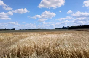 Pieszo przez kraj: Szlak żółty, fragment Zatom Stary - Kamionna