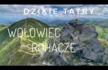 Dzikie Tatry - Wołowiec i Rohacze