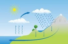 Biogeochemical cycles definition biology?