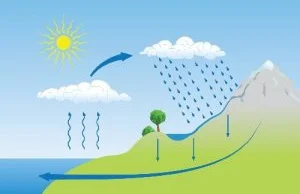 Biogeochemical cycles definition biology?