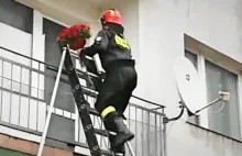 Strażak wspiął się po drabinie na balkon ukochanej, by się oświadczyć...