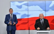 Nieoficjalnie: Błąd polskich władz ws. "Piątki dla zwierząt".