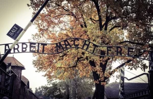 Niemiecki polityk w Auschwitz-Birkenau zapomniał o polskich ofiarach.