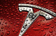 Tesla wyprodukuje najtańszy elektryczny samochód świata? Elon Musk...