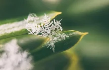 Pierwszy śnieg. Karkonoski Park Narodowy pokazuje nagranie - Polsat News