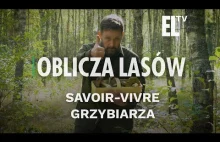 Savoir-vivre grzybiarza | OBLICZA LASÓW #109