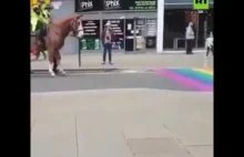 Koń czuje, że coś nie tak.