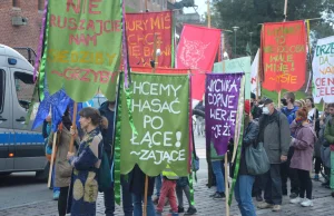 Chcą wycinać Puszczę Karpacką - trwają protesty