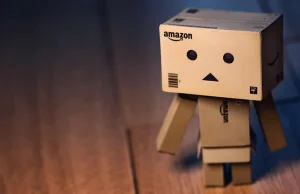 14 tysięcy poważnych wypadków w Amazonie. Główna przyczyna - robotyzacja