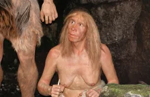 Geny neandertalczyka zwiększają ryzyko ciężkiego przebiegu COVID-19