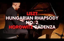 Wykopek gra Rapsodię Węgierską Liszta w nietypowej aranżacji