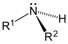 What is the functional group in amines?