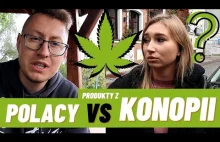 Produkty KONOPNE, a zdanie POLAKÓW [SONDA]