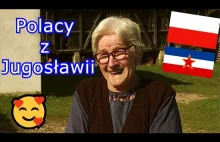 Polacy z dawnej Jugosławii - Czego Polacy szukali w Bośni? [WIDEO]