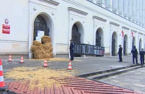 "Jutro stanie cała Polska". Rolniczy protest przeciwko nowemu ministrowi [WIDEO]