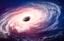Black Hole Matter