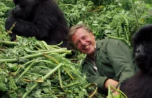 David Attenborough: Życie na naszej planecie