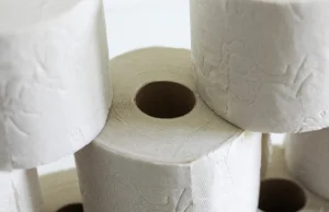 Holenderska fundacja: za papier toaletowy pracujących w domu powinien...