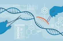 Nobel za CRISPR. W czym może pomóc genetyczny skalpel?