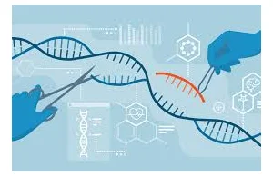 Nobel za CRISPR. W czym może pomóc genetyczny skalpel?