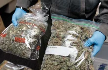 Indie: Policjanci przejęli 160 kg marihuany, a następnie sami ją sprzedali...
