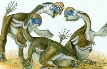 Odkryto dowód na istnienie bezzębnych dinozaurów z dwoma palcami