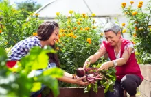 5 zabiegów, które wizualnie powiększą Twój ogród