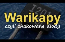 Warikapy, czyli zhakowane diody [RS Elektronika] #176