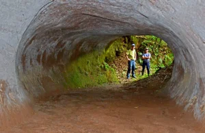 Ogromne prehistoryczne tunele dawno wymarłych zwierząt w Południowej Brazylii
