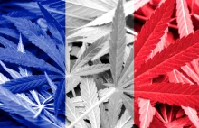 Medyczna marihuana we Francji będzie refundowana od marca 2021r.