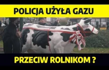Protest Rolników w Warszawie. Czy użyto przeciw nim gazu? | J. Terka