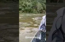 Rybacy zobaczyli w wodzie nieoczekiwanego „autostopowicza”