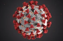 Śmiertelność koronawirusa wg WHO wynosi 0,23%