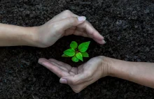 Polacy znacznie gorzej niż inni oceniają służbę zdrowia i działania ws. klimatu