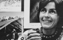 42 lata temu Wanda Rutkiewicz jako pierwsza Polka zdobyła Mount Everest