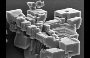 Zdjęcia z mikroskopu elektronowego