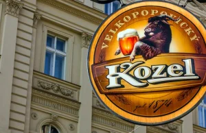 Kozel kontra Žatecký. Oto dlaczego polskie browary warzą czeskie piwo