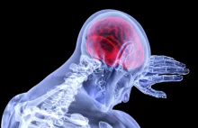 Co dzieje się w mózgu w momencie śmierci? Nowe wyniki badań