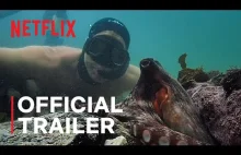 My Octopus Teacher | Official Trailer | Netflix