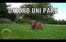 【4K】Jak wygląda park przy uniwersytecie Oxfordzkim?