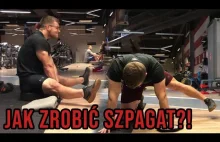 Ćwiczenia na biodra *stretching przywodzicieli i ,,dwójek''* | FAQ szpagatu