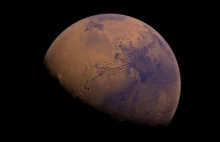 Elon Musk: za 4 lata rozpocznie się kolonizacja Marsa