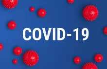 Tak wygląda państwowy rejestr zakupów związanych z COVID-19 na Słowacji.