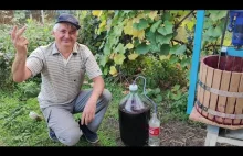 Home winemaking. Making red wine from grape berries at home. Part 2.